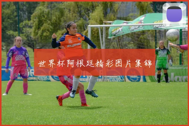 世界杯阿根廷精彩图片集锦