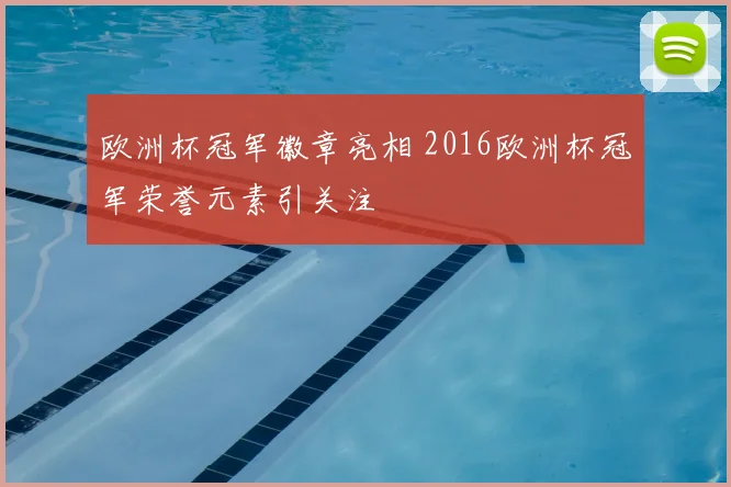 欧洲杯冠军徽章亮相 2016欧洲杯冠军荣誉元素引关注
