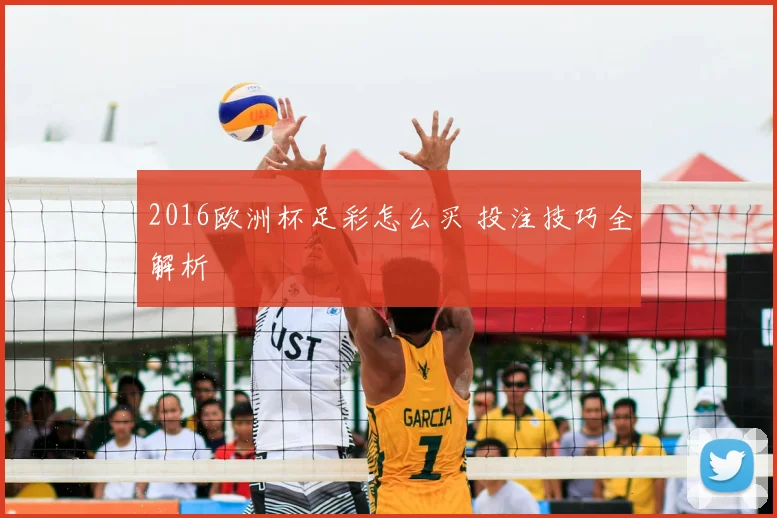 2016欧洲杯足彩怎么买 投注技巧全解析