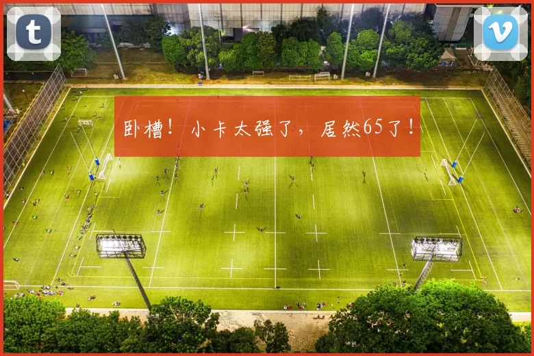 卧槽！小卡太强了，居然65了！